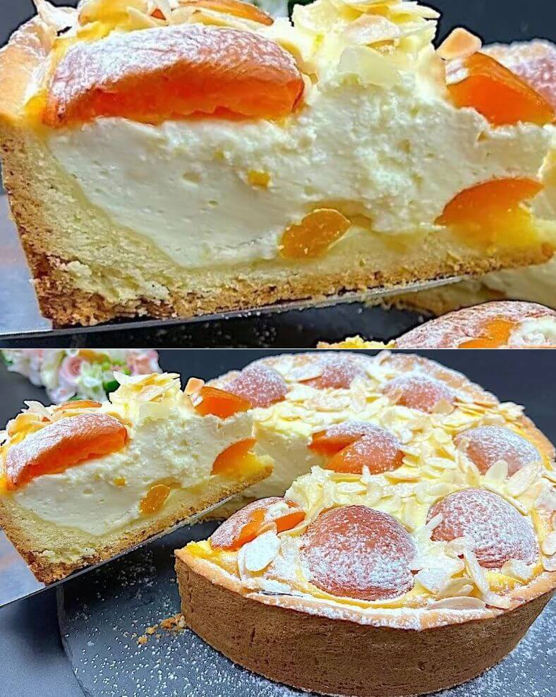 Apricot and Cottage Cheese Tart