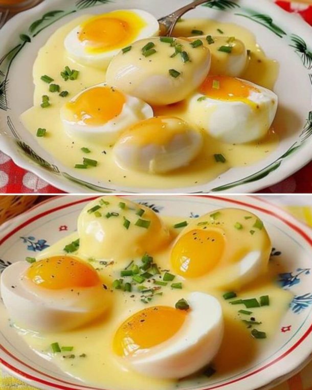 Eggs in Mustard Sauce