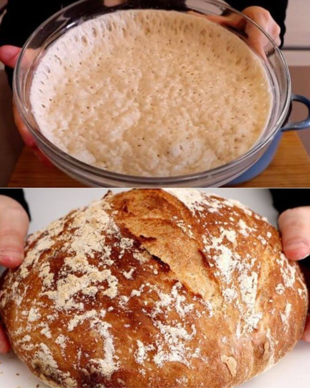 Easy 3-Ingredient No-Knead Italian Bread