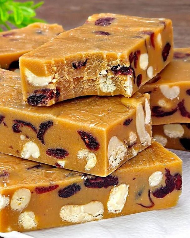 Cranberry Cashew Condensed Milk Fudge