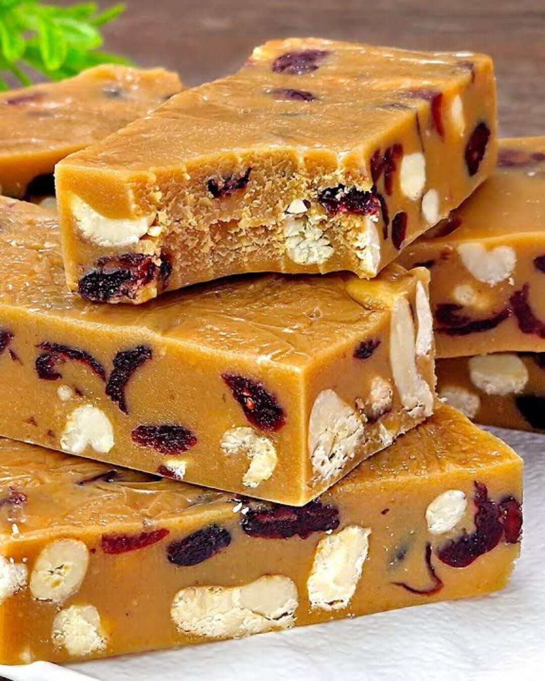 Cranberry Cashew Condensed Milk Fudge