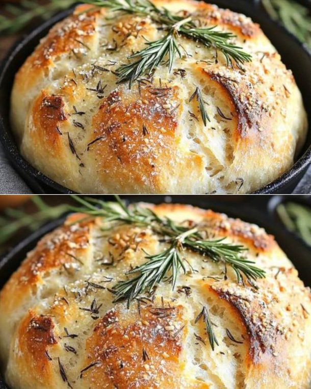 Rustic No-Knead Rosemary Garlic Bread