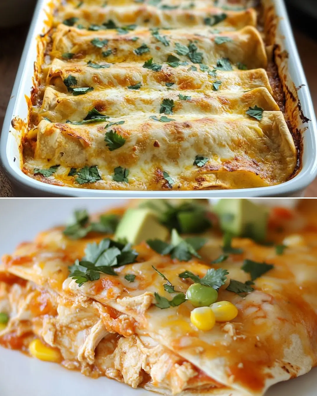 Healthy Chicken Enchiladas