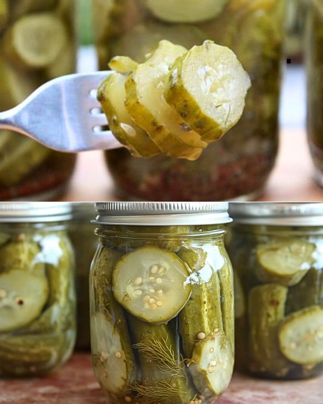 Homemade Dill Pickles