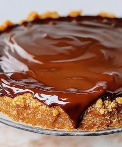 Decadent Oatmeal Apple Chocolate Bars: A Wholesome Indulgence