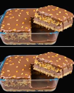 Chocolate Peanut Delight