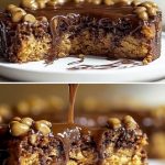 Chocolate Marble Caramel Cake with Peanuts