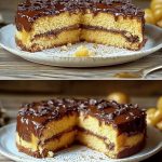 Boston Cream Cake with Chocolate Ganache