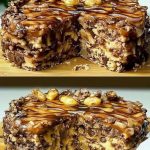 No-Bake Chocolate Caramel Biscuit Cake