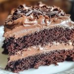 Double Chocolate Coca Cola Cake