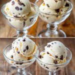 Homemade Vanilla Chocolate Chip Ice Cream