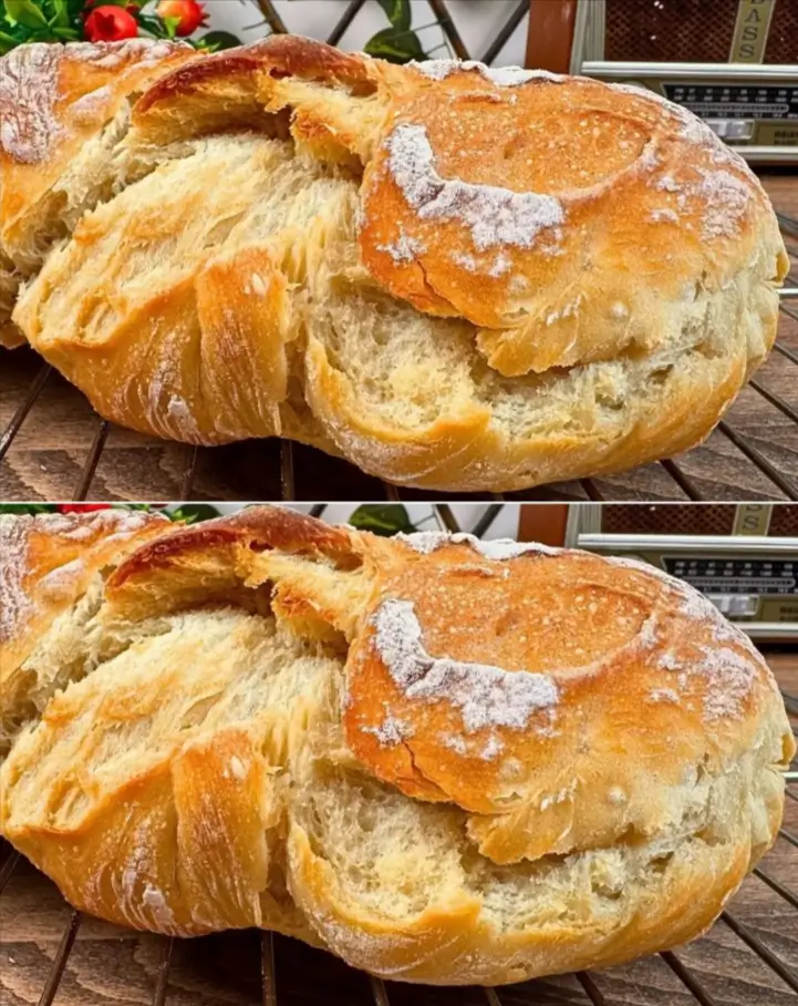 No-Knead Overnight European Crusty Bread