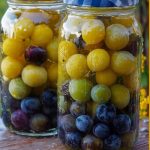 Preserved Grapes in Jars