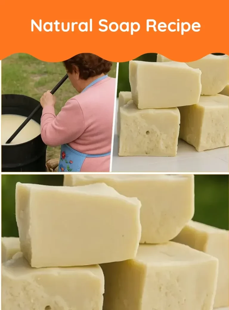 Handmade natural soap bars with essential oils and natural ingredients