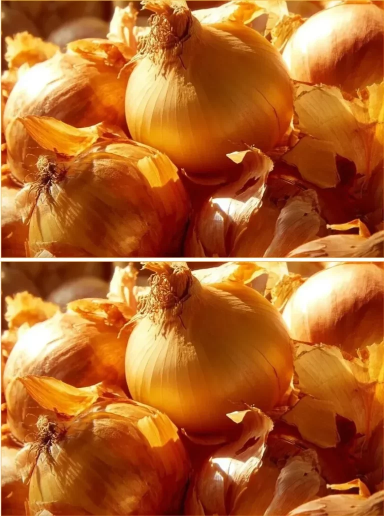 Bottle of onion peel liquid fertilizer for natural gardening