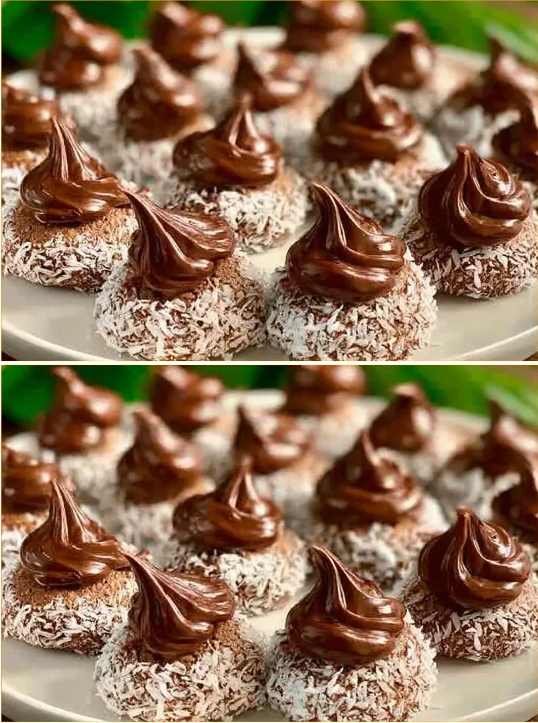Coconut Chocolate Balls arranged on a beautiful platter