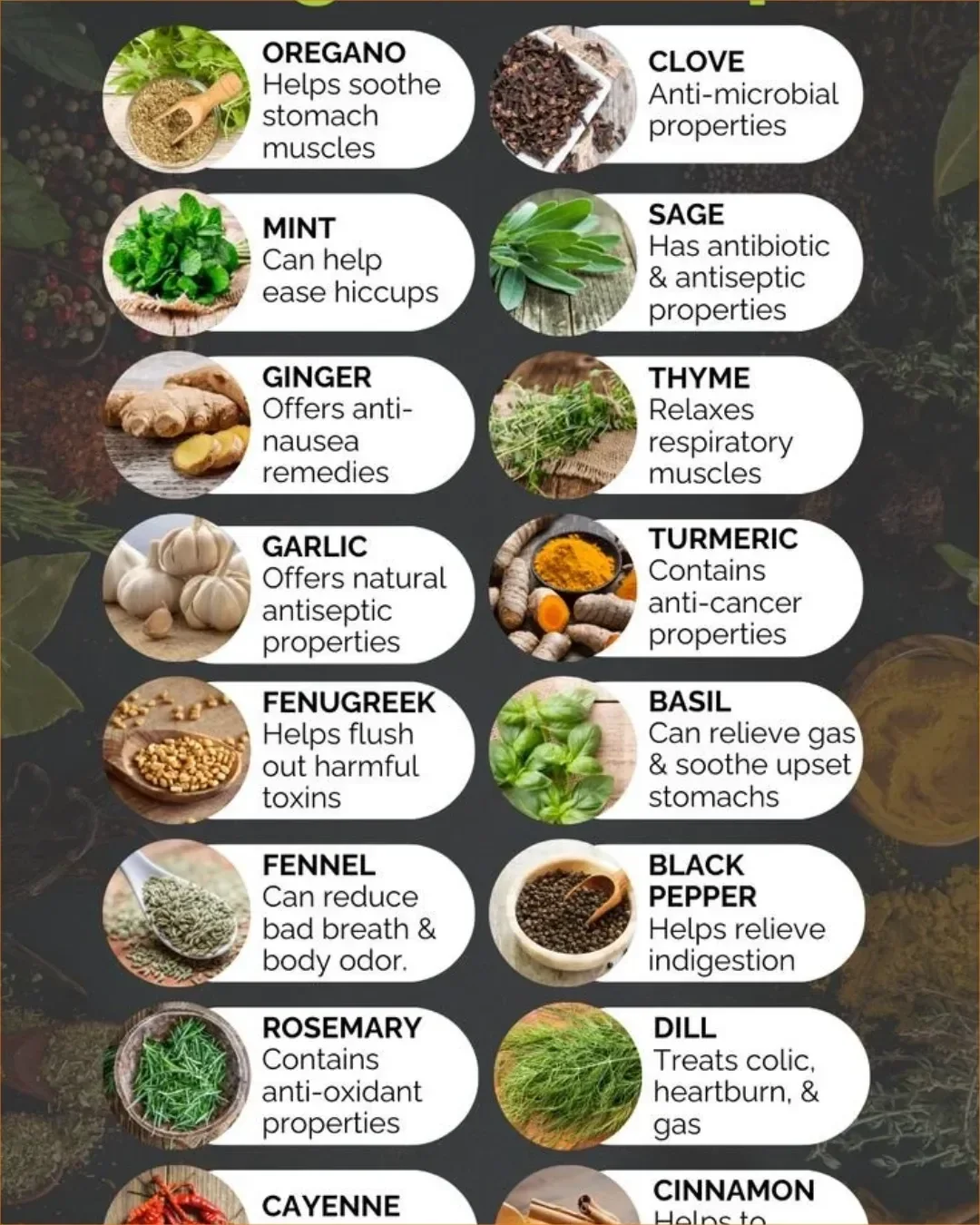 A selection of healing herbs and spices for natural wellness