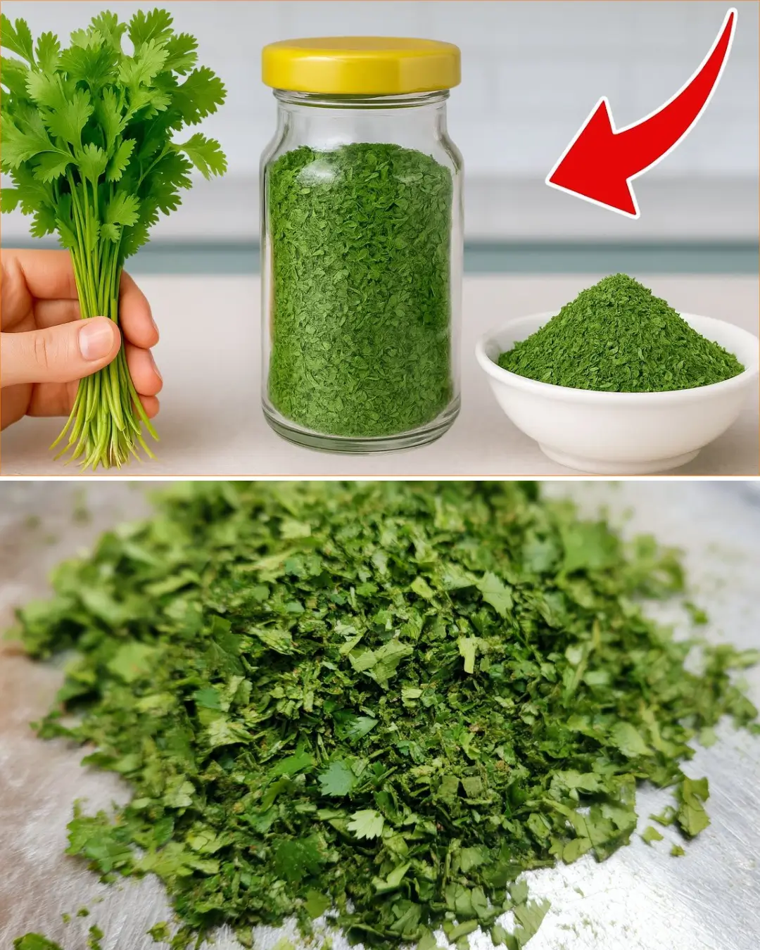 How to Make Coriander Powder at Home in Just 10 Minutes – Easy & Simple