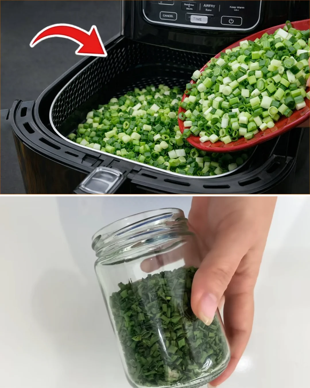 Fresh green onions preserved for long-lasting flavor and freshness.