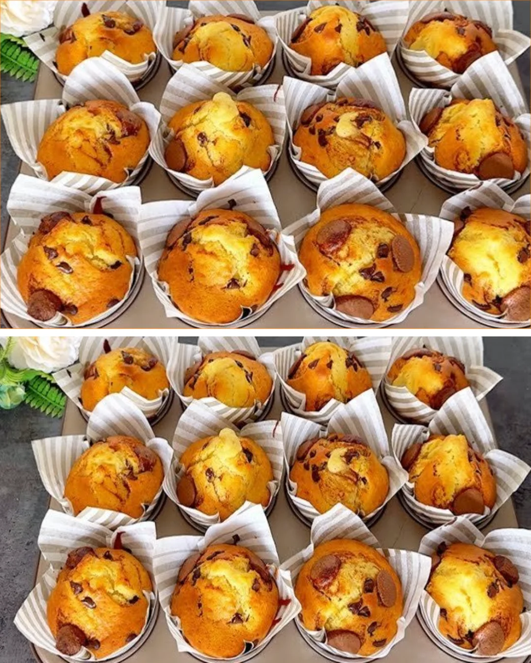 Soft and fluffy chocolate chip muffins fresh out of the oven