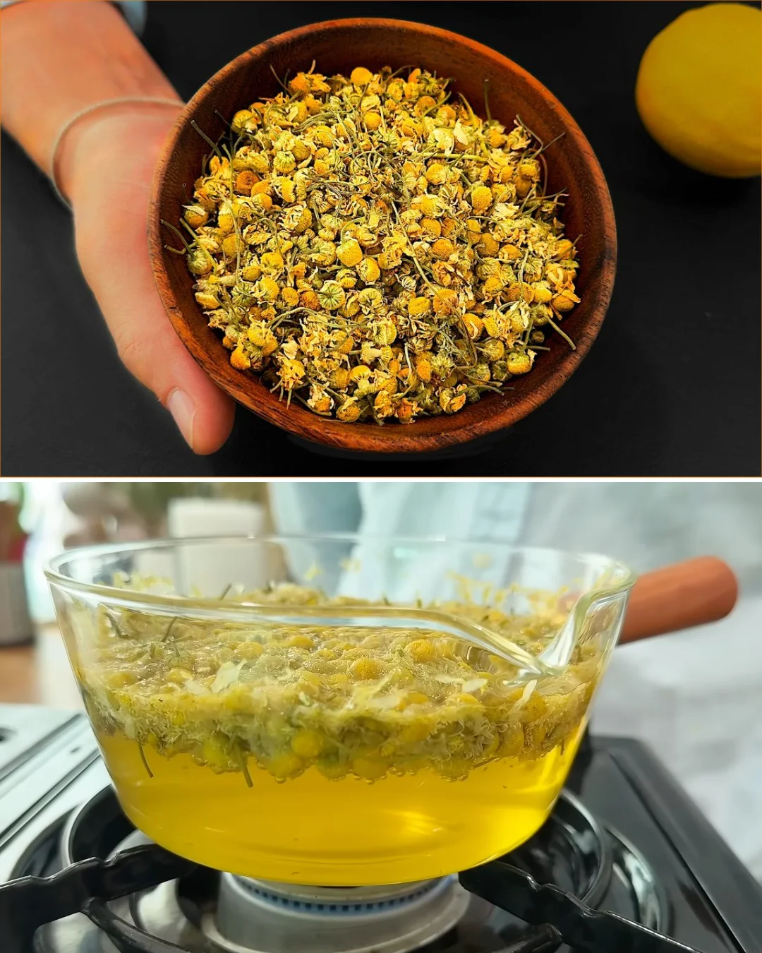 Chamomile flowers used for natural remedies and holistic health.