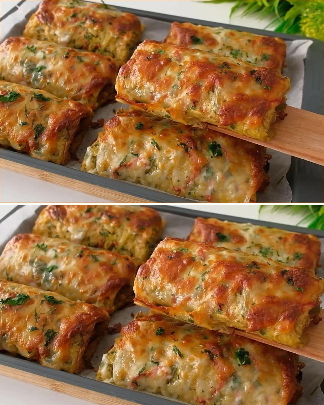 Delicious homemade Potato and Chicken Rolls served on a plate
