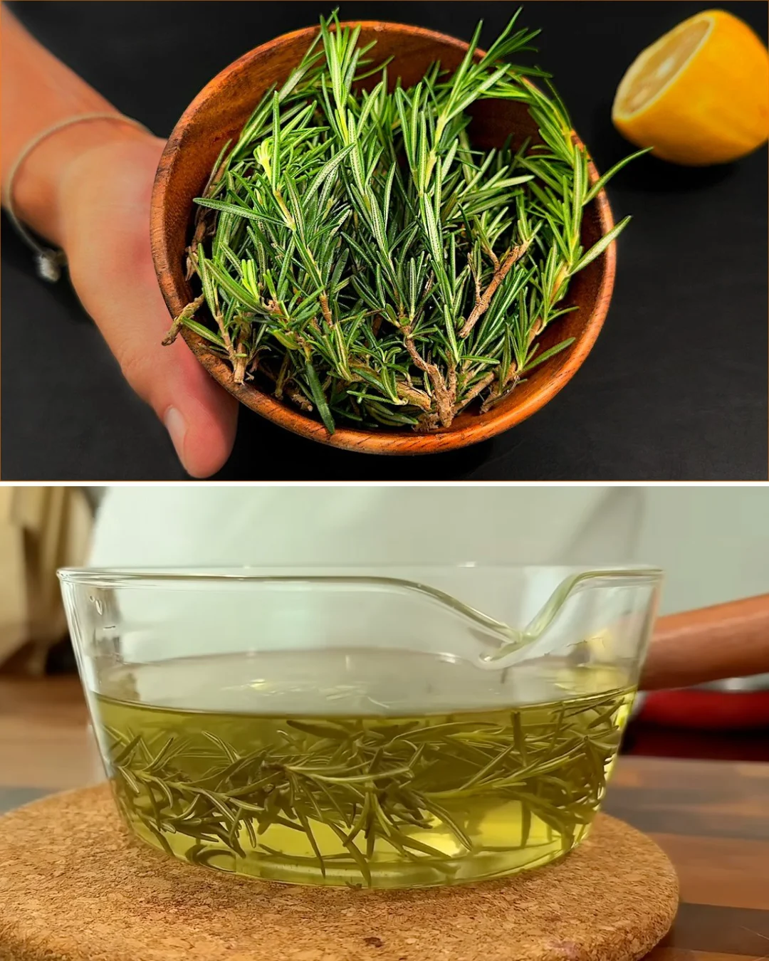 A sprig of rosemary highlighting its healing properties and natural remedies.