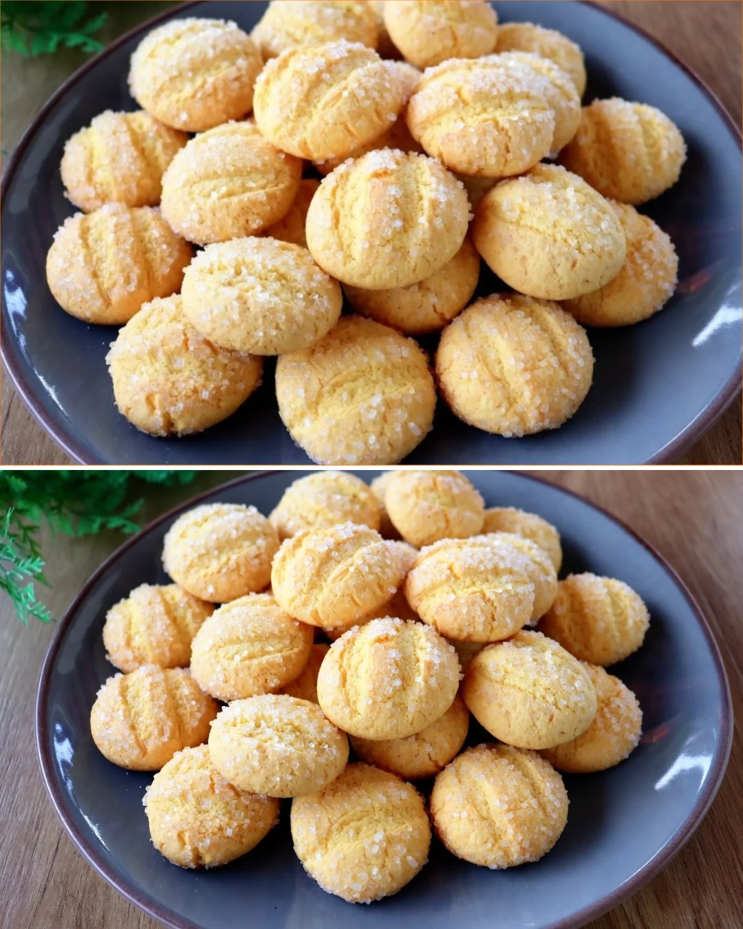 Delicious crisp cornmeal cookies on a plate ready to be enjoyed