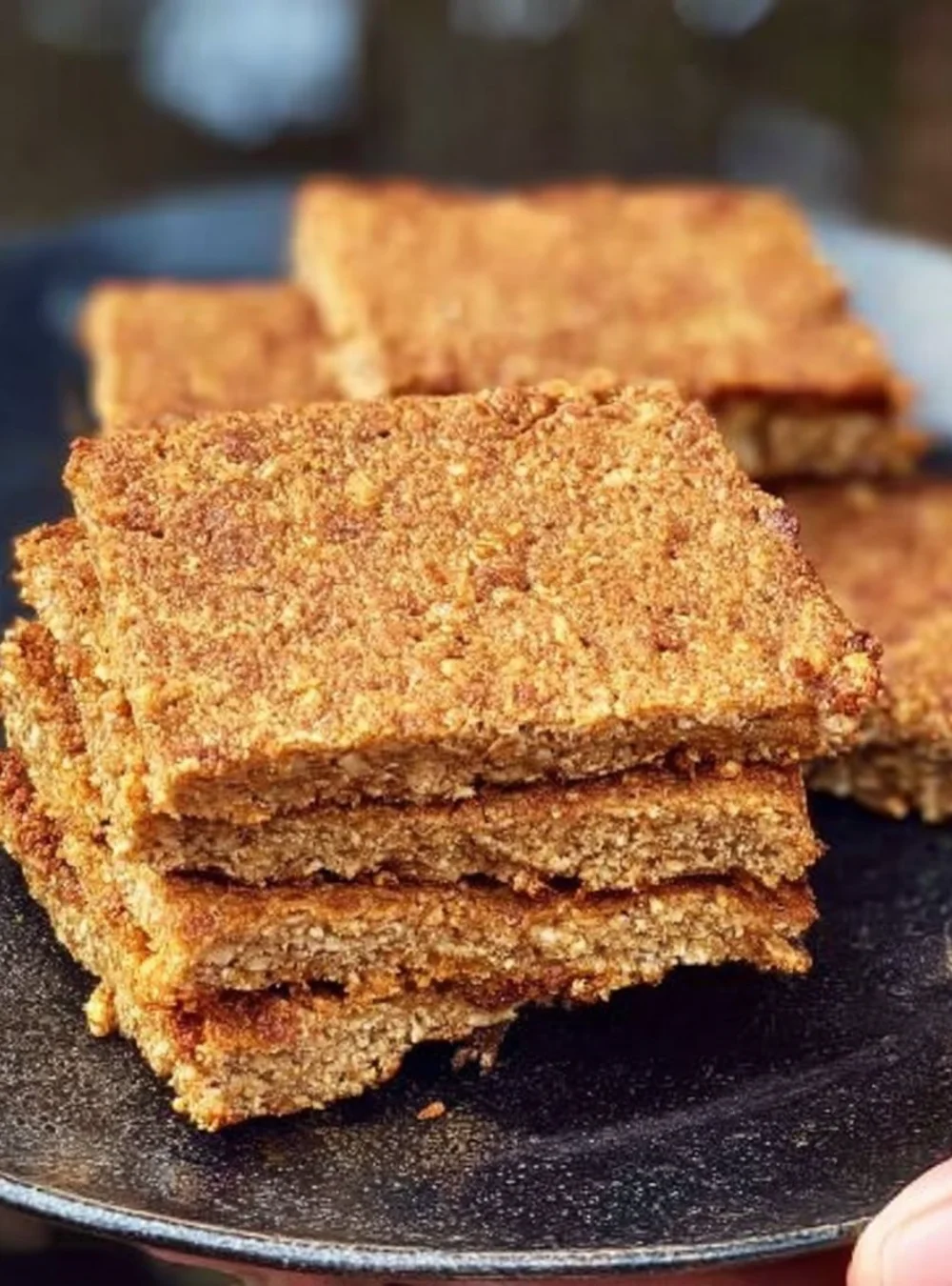 Homemade German Oatmeal Squares with a delicious topping