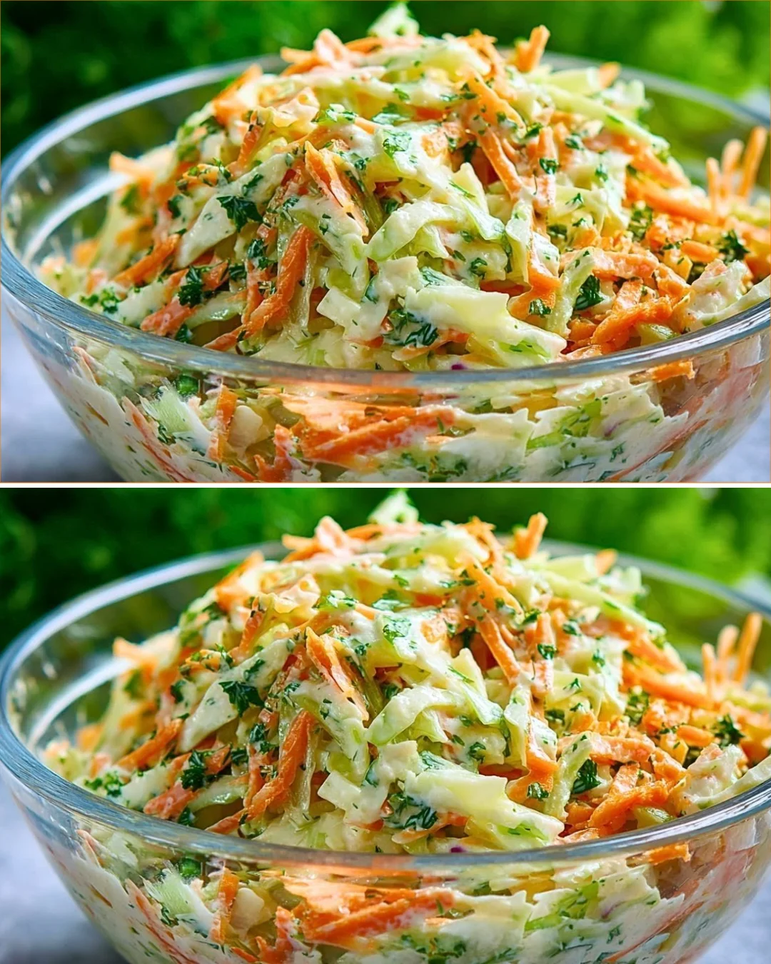Deliciously vibrant pointed cabbage salad in a bowl, garnished with herbs.