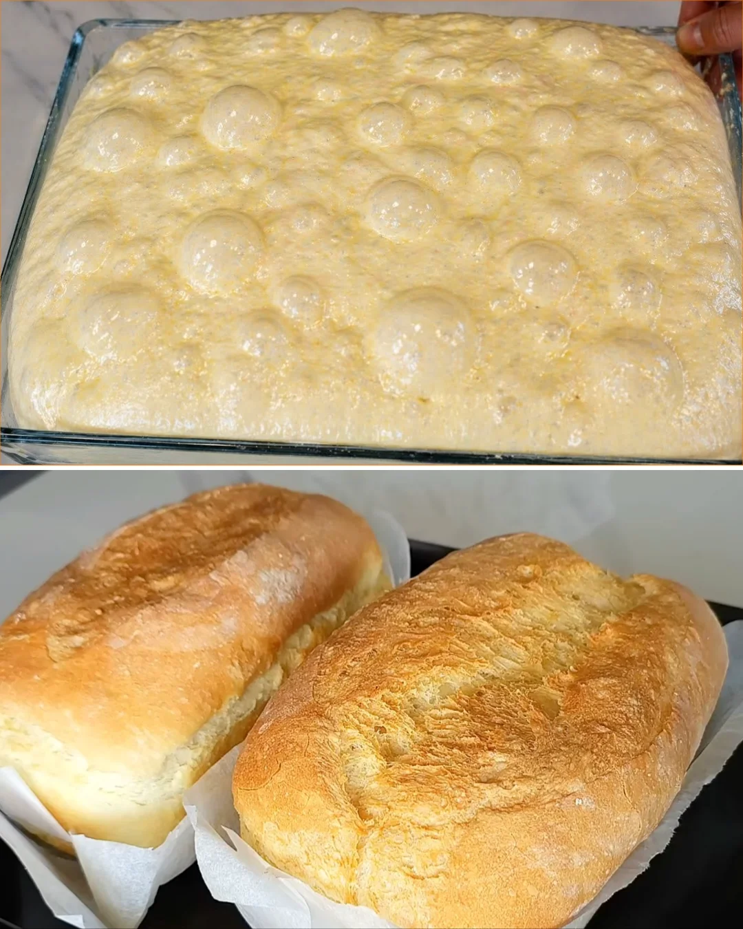 Loaf of freshly baked no knead bread on a wooden cutting board.
