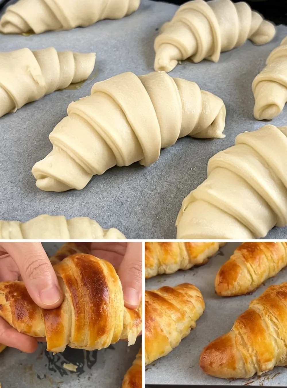Homemade croissants freshly baked on a wooden table