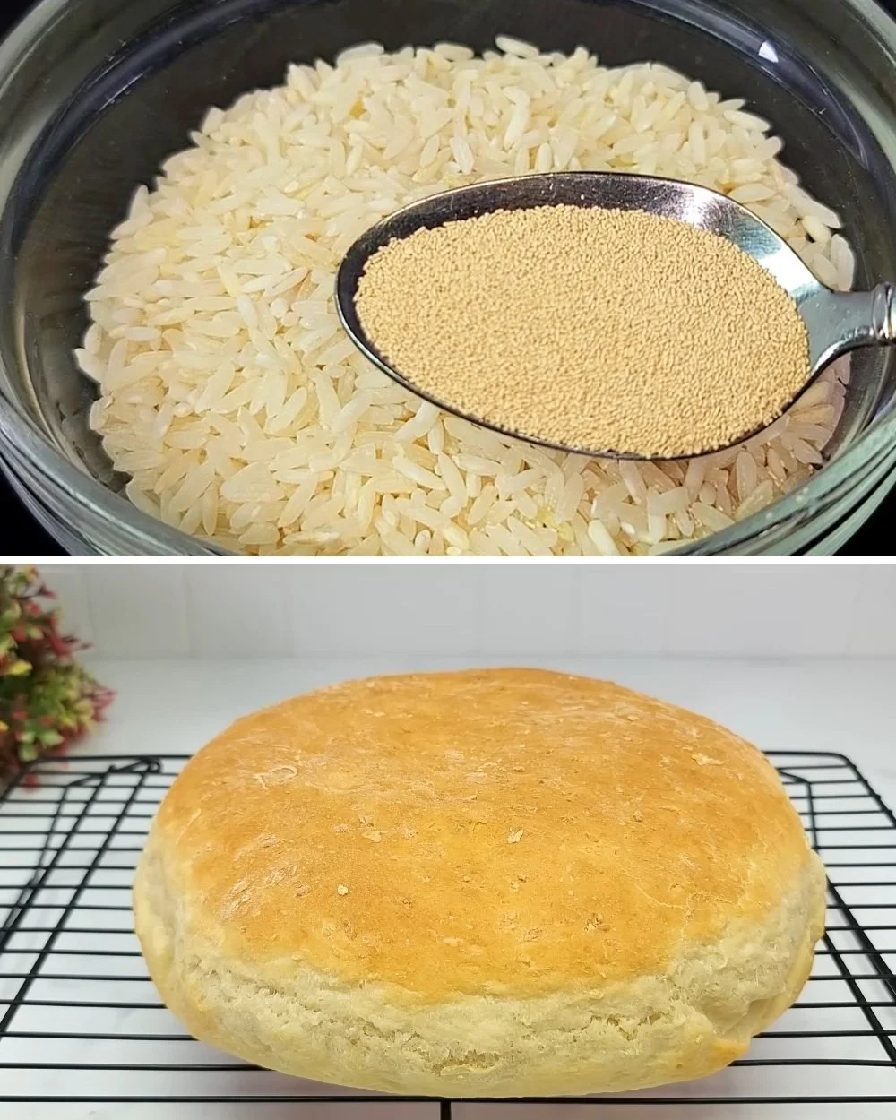 Delicious homemade Yeast Rice dish served in a bowl with fresh herbs.