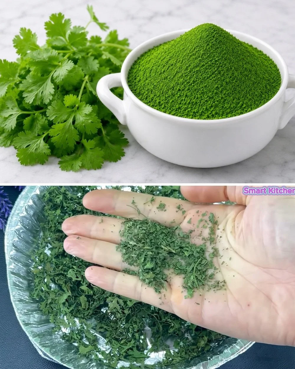 Homemade cilantro powder in a glass jar with fresh cilantro leaves