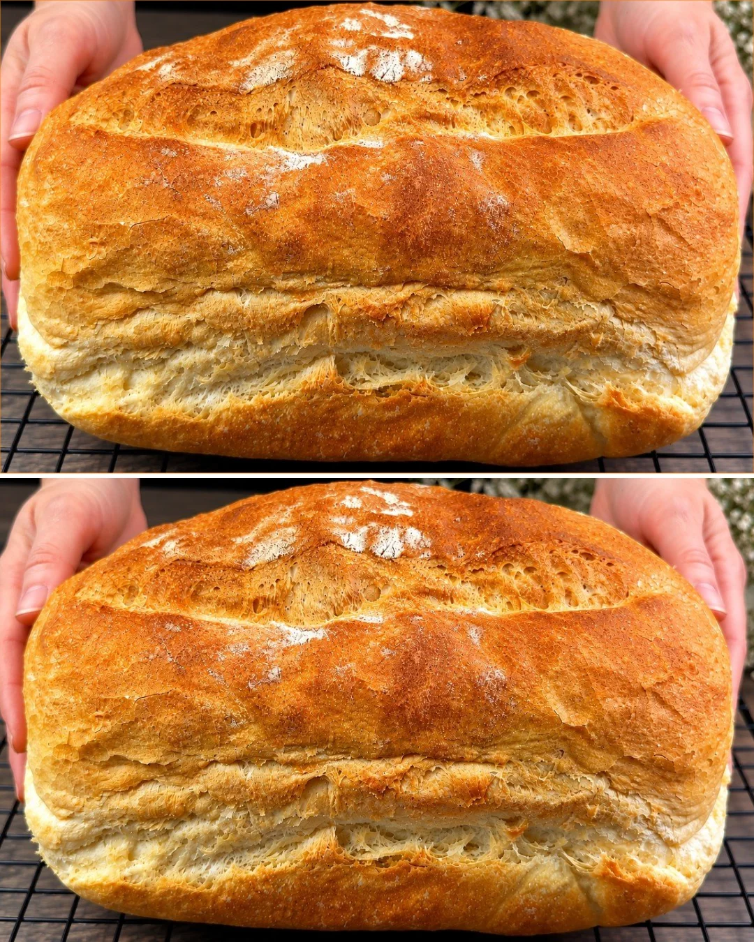 Quick bread dough ready in 5 minutes with 3 cups of flour