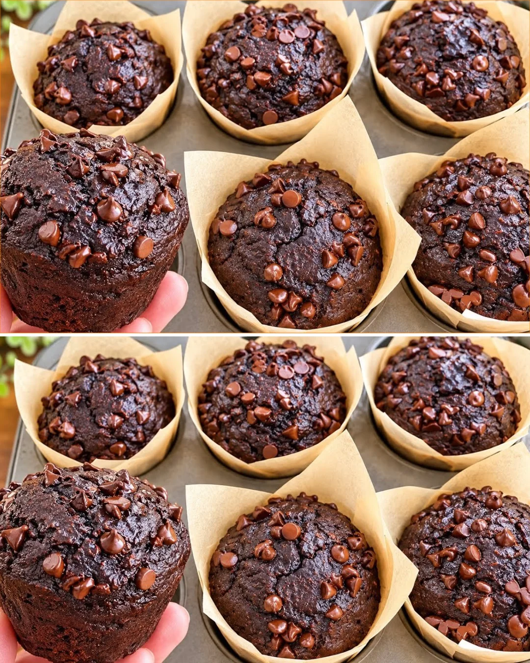 Healthy chocolate muffins made with oats and cocoa, no sugar added.